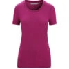 Icebreaker Tech Lite II SS T-skjorte (Dame)