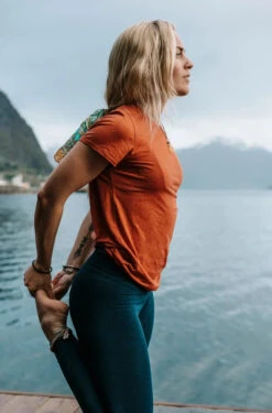 Organic Wool And Silk T-skjorte (Dame) -Osprey Butikk 17 e15e69460b andersvest 6 of 16 full