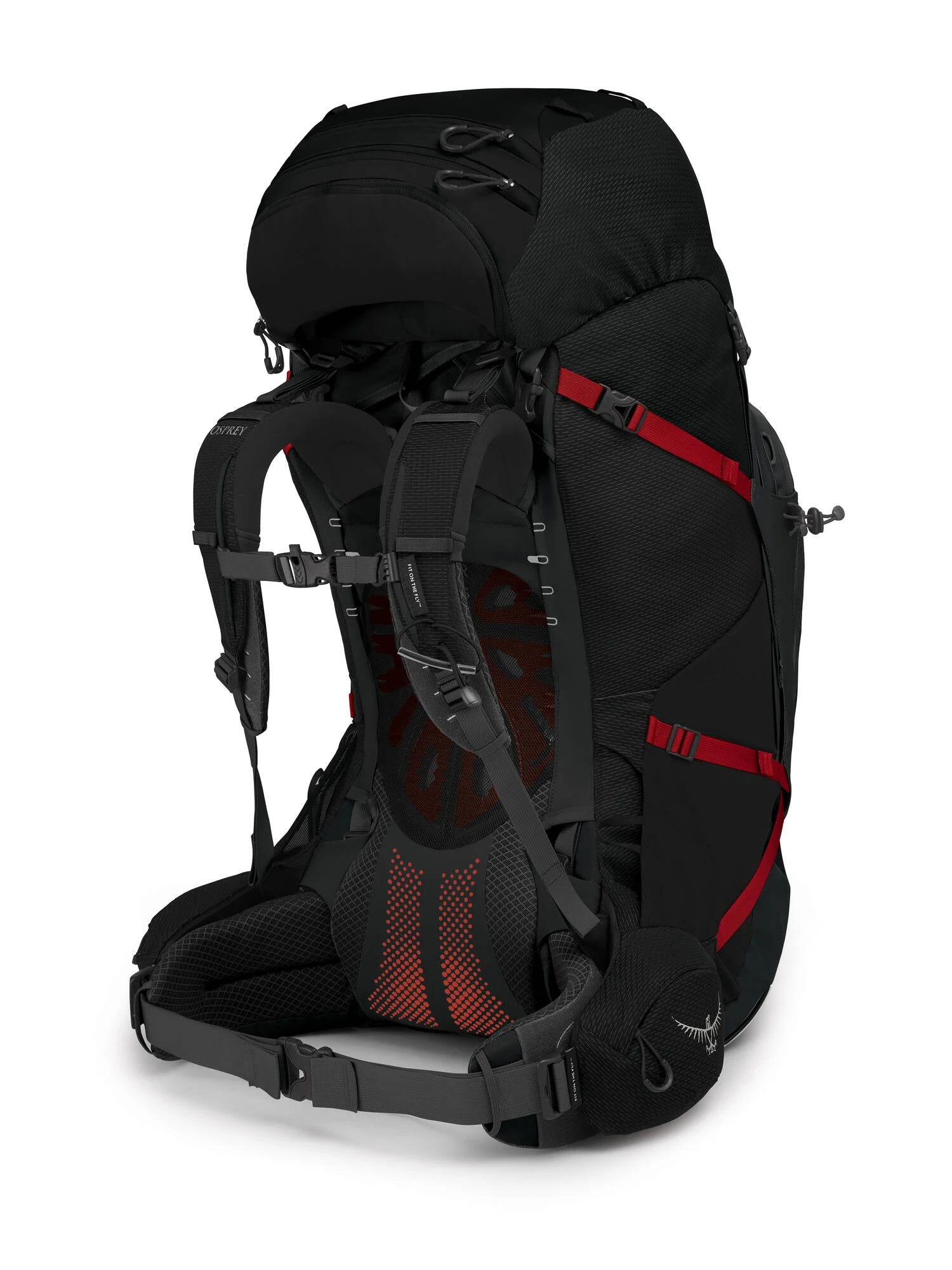 Osprey Aether Plus 85 Fjellsekk Herre 4 Osprey Aether Plus 85 Fjellsekk Herre - Bilde 4