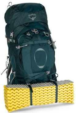 Osprey Ariel Plus 70 Fjellsekk Dame -Osprey Butikk Ariel Plus 70 S21 Detail3 Night Jungle Blue web