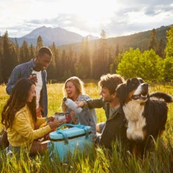 Hydro Flask Isolerende Vinkaraffel (750 Ml) -Osprey Butikk Hydro Flask Isolerende Vinkaraffel 750ml stemning tur