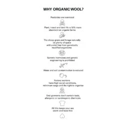 Pantie Wool Truse Dame -Osprey Butikk Northern Playground Why Organic Wool info