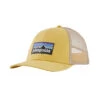 Patagonia P-6 Logo LoPro Trucker Hat