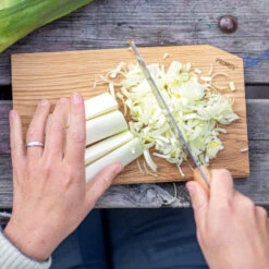 Primus CampFire Cutting Set -Osprey Butikk Primus Campfire Cutting Set ovenfra