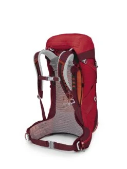 Osprey Stratos 36 (Herre) -Osprey Butikk Stratos36 S22 SideBack PointsettiaRed 10004043 web