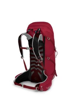 Osprey Talon 36 Dagstursekk Herre -Osprey Butikk Talon 36 S21 SideBack Cosmic Red web
