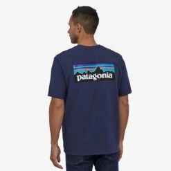 Patagonia P-6 Logo Responsibili-Tee Herre -Osprey Butikk gray 3