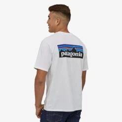 Patagonia P-6 Logo Responsibili-Tee Herre -Osprey Butikk gray 6